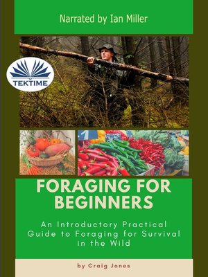 cover image of Foraging For Beginners